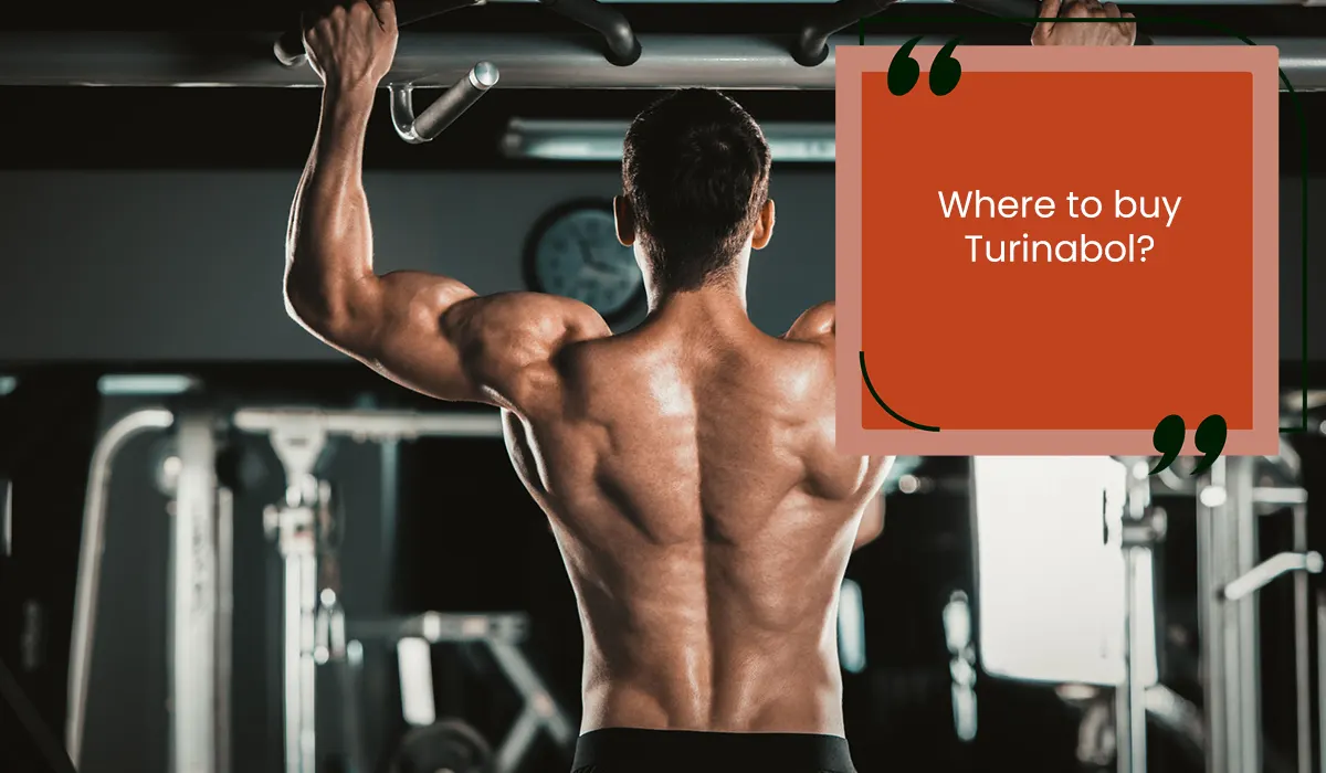 Where to buy Turinabol?