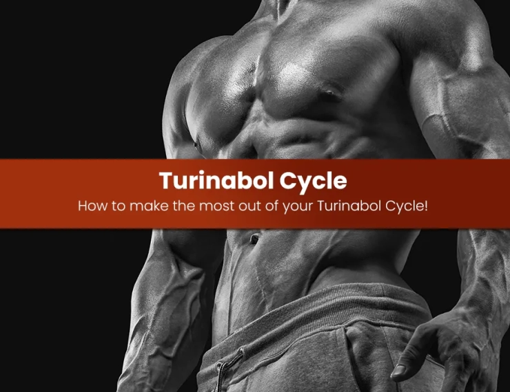 Turinabol Cycle: How to make the most out of your Turinabol Cycle!