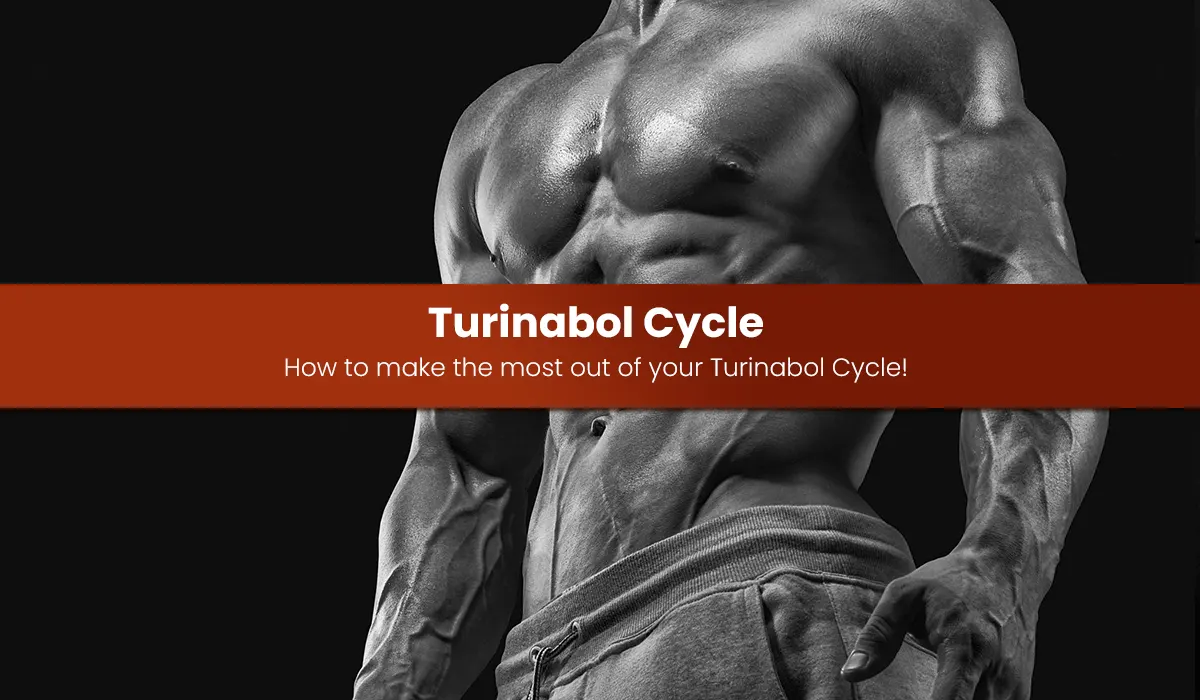 Turinabol Cycle: How to make the most out of your Turinabol Cycle!