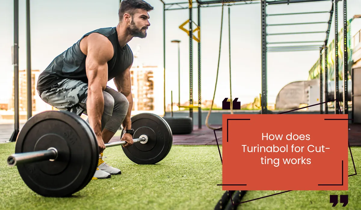 How does Turinabol for Cutting works