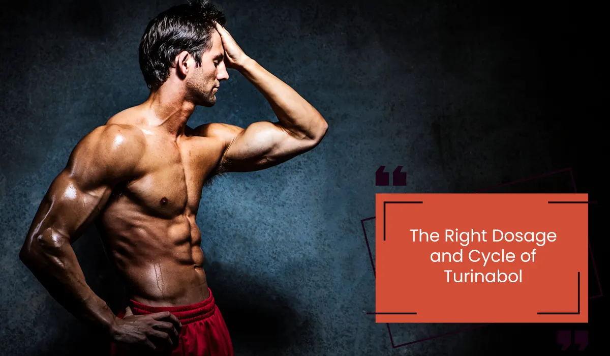 The Right Dosage and Cycle of Turinabol